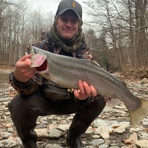 Meet your Posher, Corey